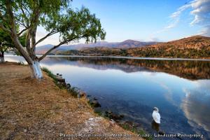 Erato Apartment in Argostoli Kefalloniá Greece