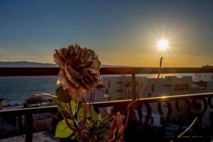 Urban Luxury Suites Juricevic 
