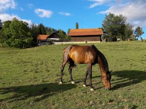 Tourist Farm Ranč Velka