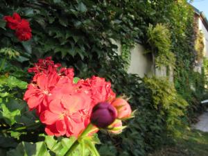 Maison dhôtes La Ferme Pierre***
