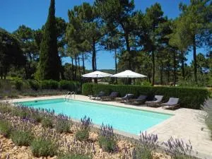 Les Lauriers - 皮奥伦克