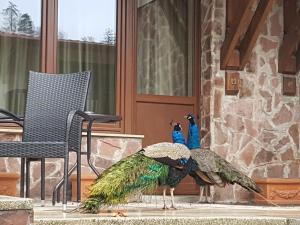 Budget Double Room room in Hotel Esprit