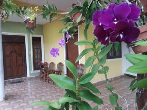 Diyawara Home Stay