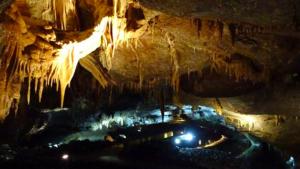 Luxury Apartment in Town Centre BT74 6HR