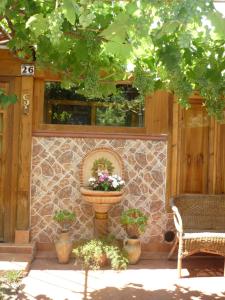 B&B Marino E Lily img6