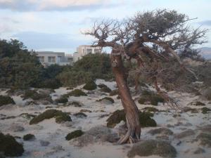 Double Bay Beach Hotel Lakonia Greece