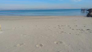 Grand Apartment Pomorie