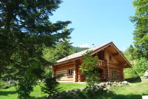 Appart'hotels Le Couaroge Chalets et Appartements : photos des chambres