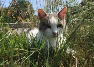 Ferienanlage Gutshaus Gramkow