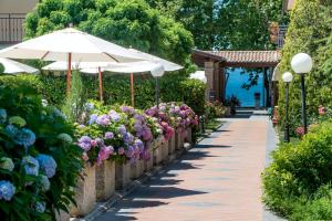 3 star hotel Loriana Park Hotel Sul Lago Bolsena Italy