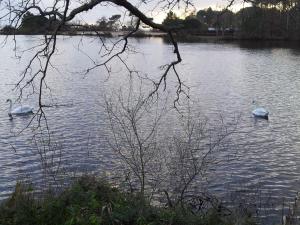 Appartements Appartement Bassin : photos des chambres