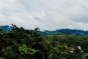 Posada del Angel Hotel