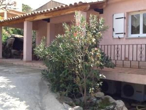 Maisons de vacances Casa Myrta 3 etoiles : photos des chambres