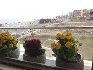 Apartament Maria Loft Beach