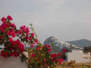 Skyrian Mansion Faltena Skyros Greece
