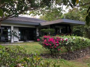 Modern Room with beautiful pool