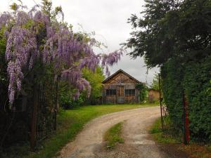 Ma Cabane à Sarlat