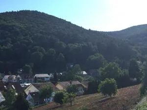 Ferienwohnungen Tauscher - 圣马丁