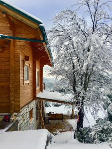 Vytina log house Arkadia Greece