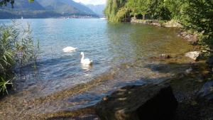 Aurora Suite apartment img40