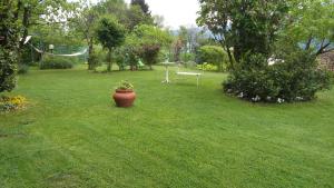 Aurora Suite apartment img21