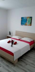 Apartment Ante and Dijana 