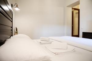 Contessa Central Studio