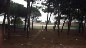 ARISTON - WALTERIGATO Apartments SOLO PER FAMIGLIE