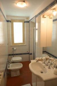 Central and cozy apartment in Lucca