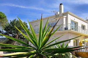 Katoi Apartment 2 Agios Georgios Pagoi