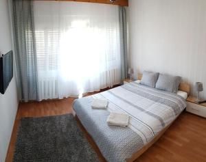 Apartmán Premium Central Apartment Oradea Rumunsko