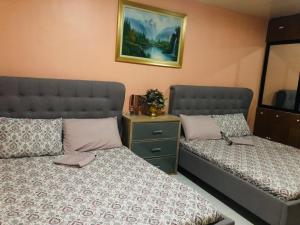 Luzville Residences C10