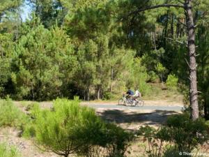 Campings Mobile Home Climatise : photos des chambres