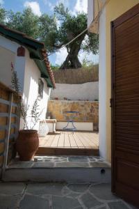 Olive Tree Apartments Zakynthos Greece