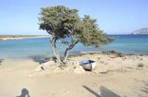 Fanos Studios - Koufonísia