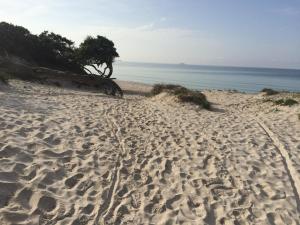 Appartamento Mare e Centro img26