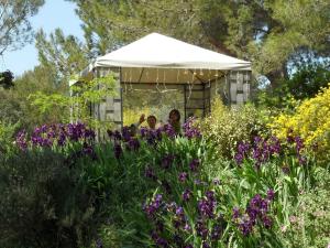 B&B / Chambres d'hotes L'OLIVERAIE EN PROVENCE : Grande Chambre Double 