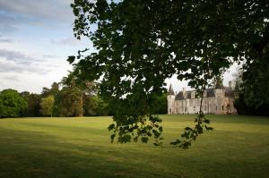 B&B / Chambres d'hotes Chateau de Beauvais : photos des chambres