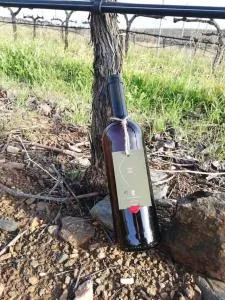 Casa Grainha Vidigueira - 库巴