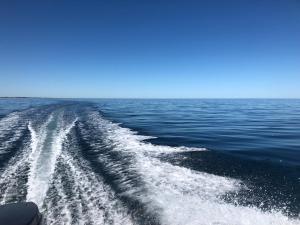 Peppermint Grove Beach Holiday Park