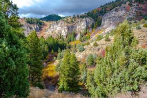 Harbor Village 14-Plex Condo 116