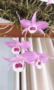 Hue Homestay Riverside