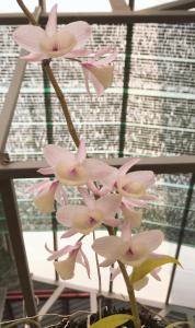 Hue Homestay Riverside