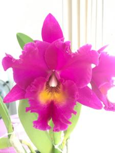 Hue Homestay Riverside