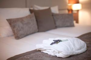 Deluxe Double or Twin Room room in Hotel Aristos