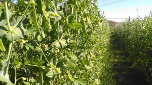 Casa Rural Aristondo Agroturismo