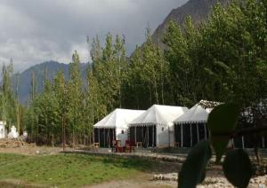 Terrain Ladakh Camping