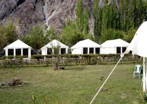 Terrain Ladakh Camping