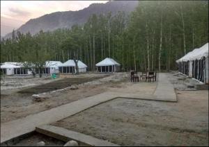 Terrain Ladakh Camping