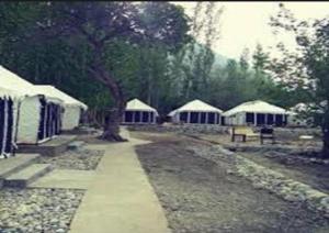 Terrain Ladakh Camping